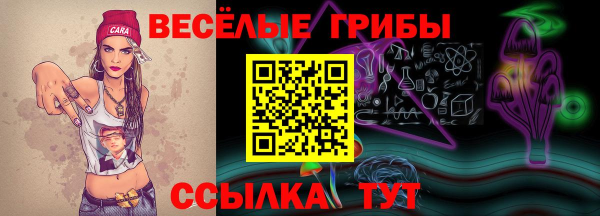 Галлюциногенные грибы Cubensis  даркнет сайт  Вход с VPN  Элиста  Галлюциногенные грибы MAGIC MUSHROOMS 