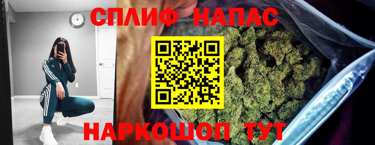 Бошки марихуана марихуана  Бошки марихуана сатива  Элиста  Марихуана индика  Вход с VPN 